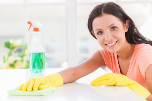 Professional cleaning team introduction in Wandsworth