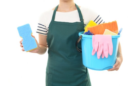 Mattress sanitising and deodorising service in Wandsworth
