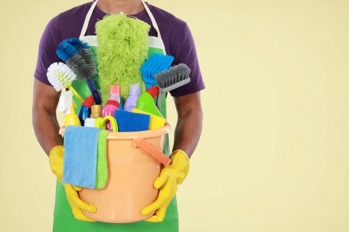 Cleaner carrying out a professional cleaning service in a home