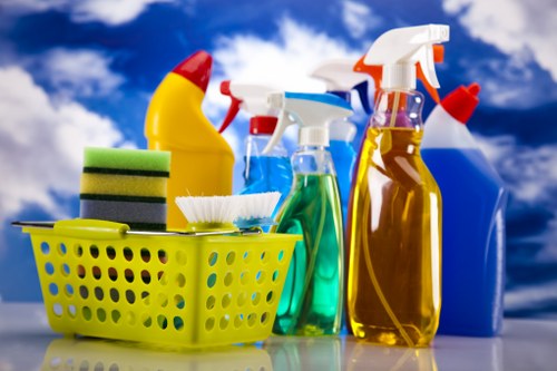 Sofa cleaning service for a Wandsworth living room sofa
