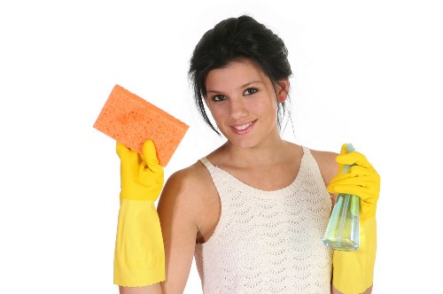 Legal terms and governing law for cleaning services
