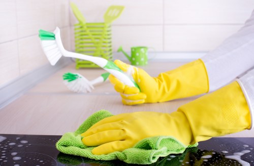 Domestic cleaning service for family homes and apartments in Wandsworth