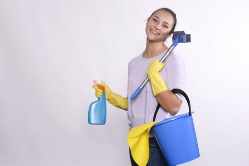 Deep cleaning equipment used on carpet fibres in Wandsworth