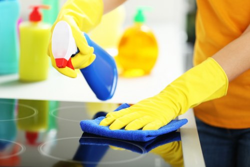 Professional pet stain treatment for carpet and underlay in Wandsworth