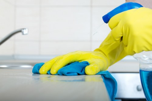 Cleaner removing burnt-on residue from a domestic oven
