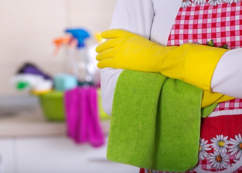 Technician carrying out upholstery cleaning in a Wandsworth property
