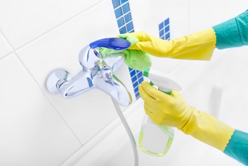 Local specialist removing pet odour from a family home in Wandsworth