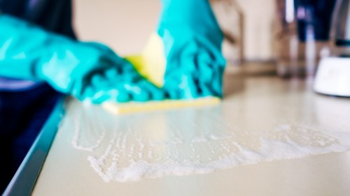 Odour removal service for pet accidents in a local Wandsworth flat