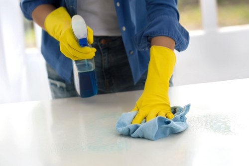 Deep cleaning preparation for a Wandsworth household