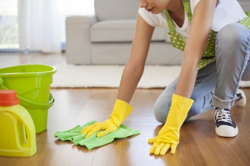 Professional mattress deep cleaning equipment used in Wandsworth